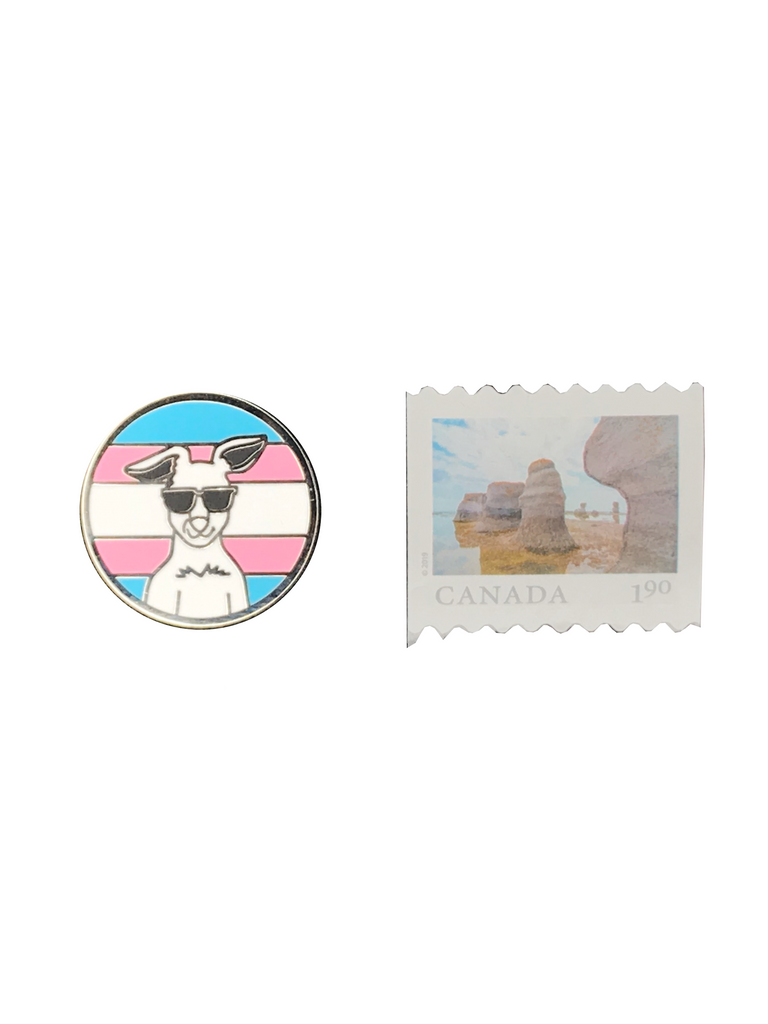 Showing the Get Your Joey magnetic lapel pin is about the same size as a stamp