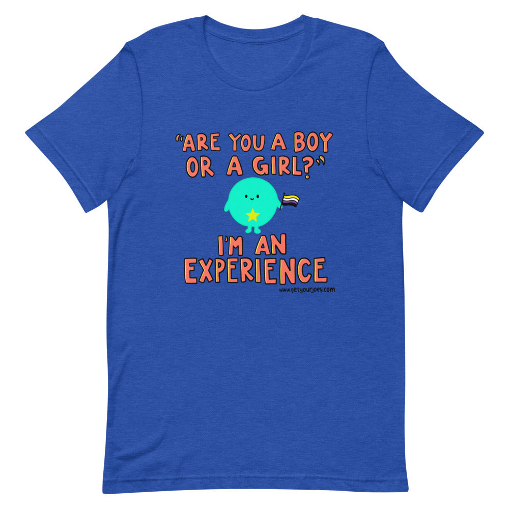 Orange text reads "Are you a boy or a girl?" I'm an experience. With a round bright blue cartoon person holding a non binary pride flag